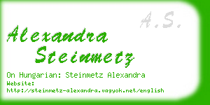 alexandra steinmetz business card